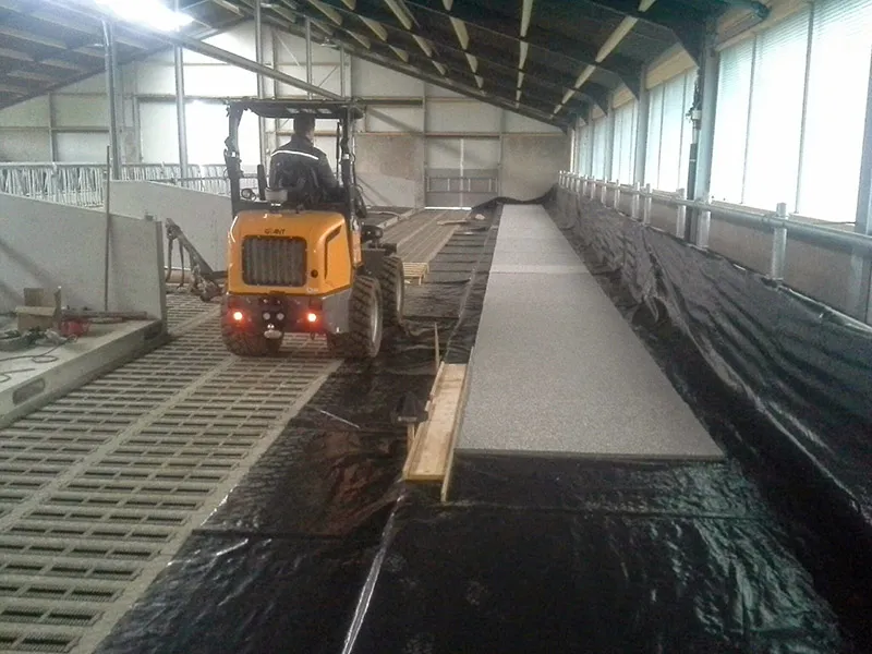 Stalrenovatie werkzaamheden aan een koeienstal