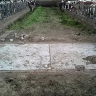 Runderstal renovatie werkzaamheden