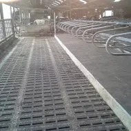 Complete renovatie van een koeienstal